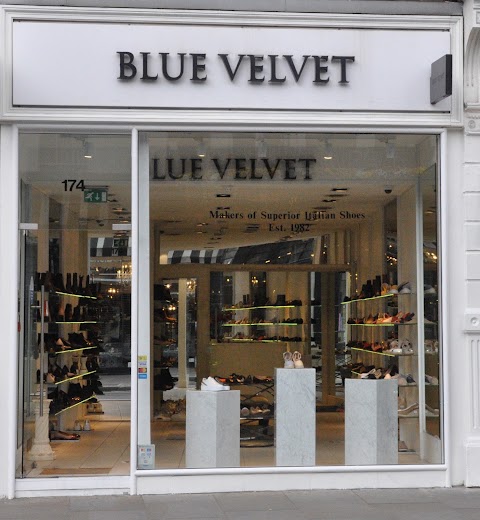 Blue Velvet Shoes