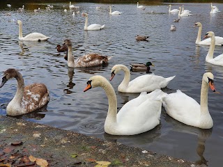 Richmond Park