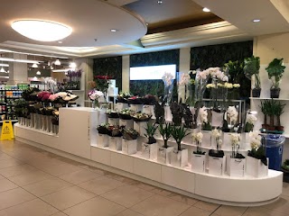 Flowers & Plants Co.