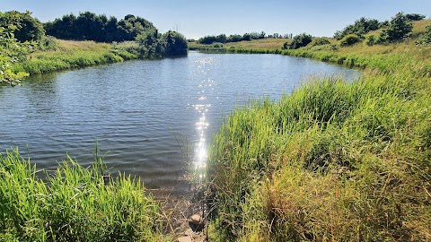 Countess of Chester Country Park