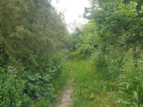 Brocks Hill Country Park