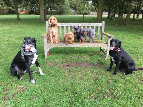 Lovin Paws Dog Walking & Boarding Arborfield & Winnersh