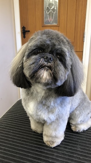 Barkers Professional Dog Grooming