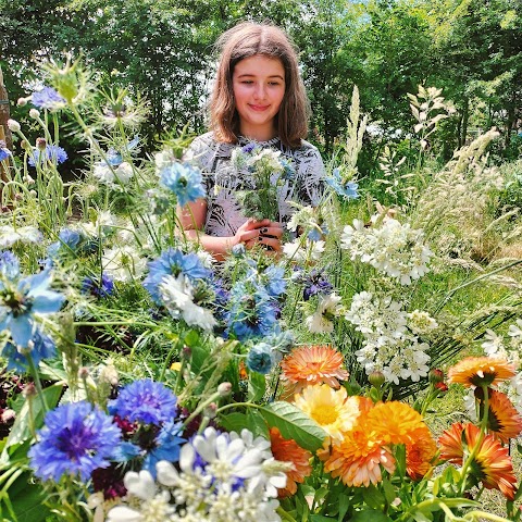 The Wilderness Grove Forest School