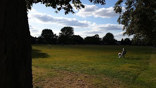 Thornton Heath Cricket Club (THCC)