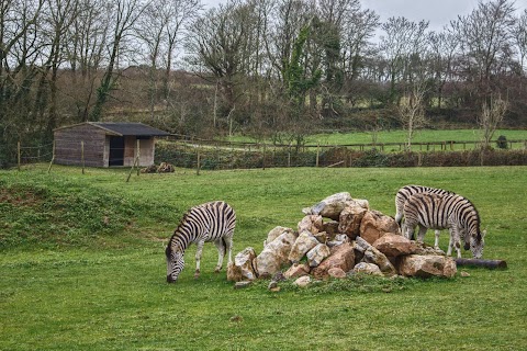 Manor Wildlife Park