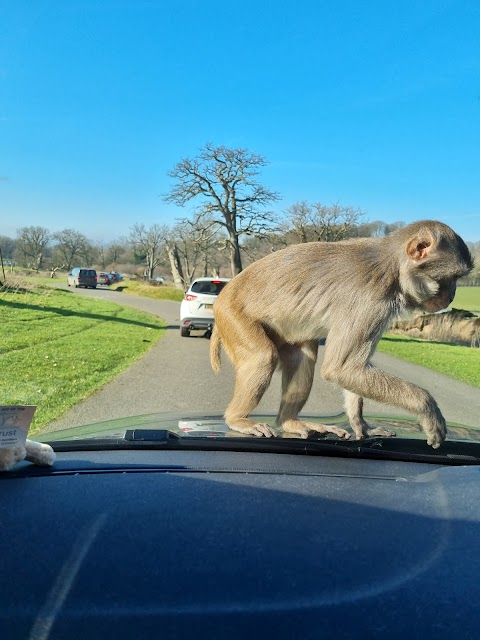 Longleat