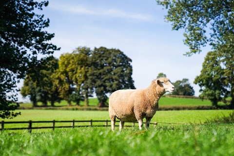 Farm Stay UK