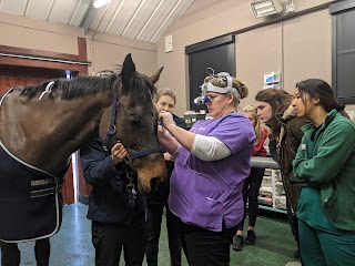 Langford Vets Equine