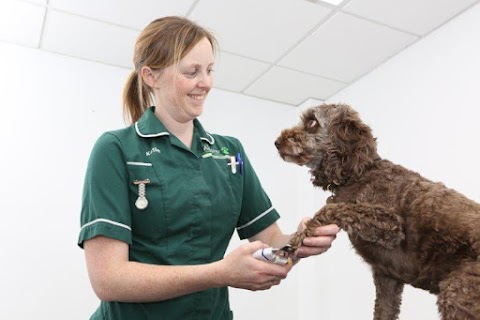 The Minster Veterinary Practice, Salisbury Road