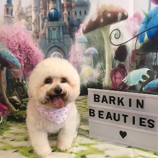 Barkin Beauties Dunmurry