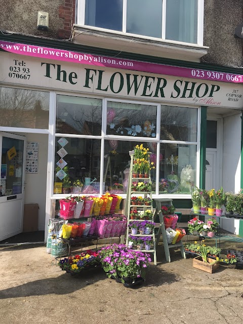 The Flower Shop by Alison