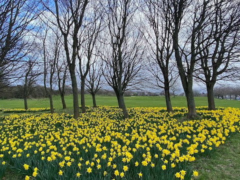 Dovecot Public Park