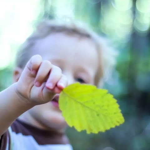 Reflections Nursery & Forest School