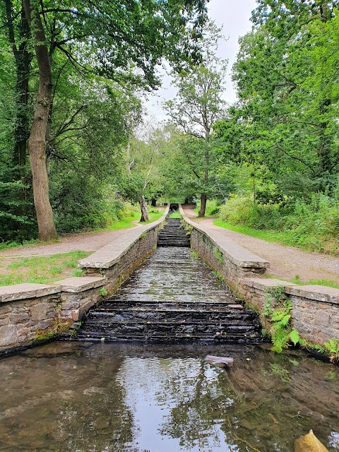 Gnoll Country Park