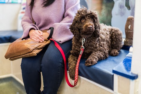 Wombourne Veterinary Centre