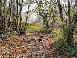 Ditchling Common Car Park