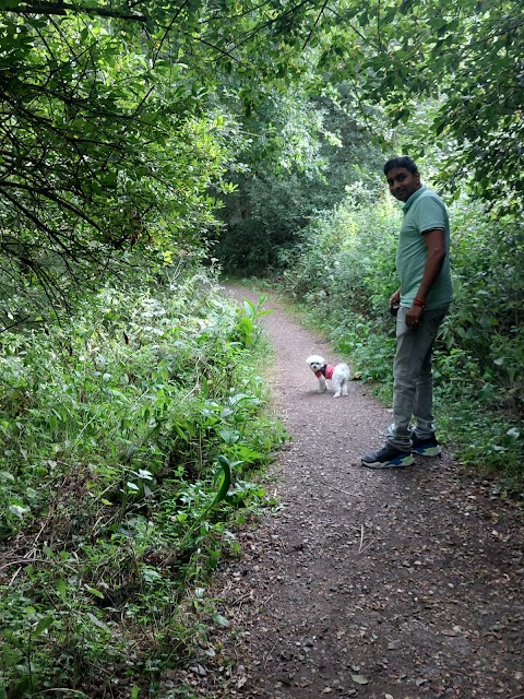 Hosehill Lake