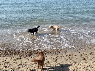 Highcliffe Happy Dogs