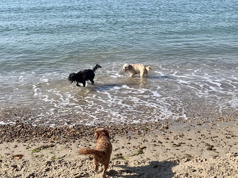 Highcliffe Happy Dogs