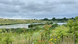 Beddington Farmlands