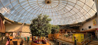 Pleasance Dome