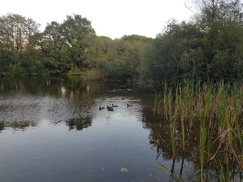 Decoy Country Park