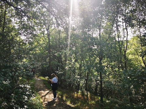 Stalybridge Country Park