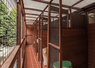 Brockmoor Boarding Cattery