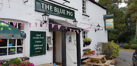 The Blue Pig