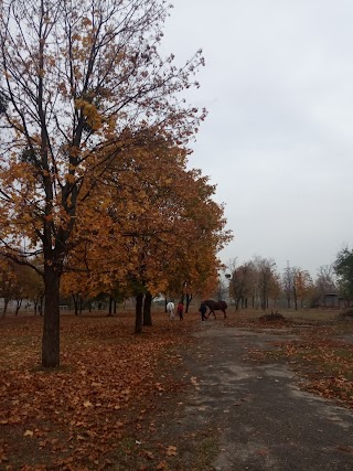 Парк "Зустріч"