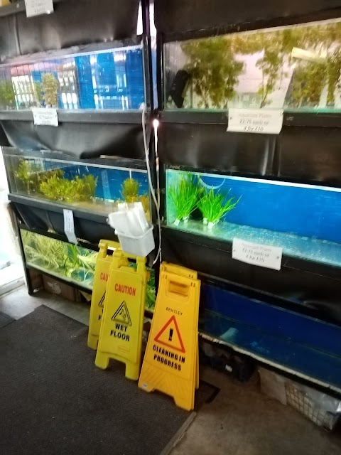 Glovers Tropical Fish Reptile & Water Garden Centre