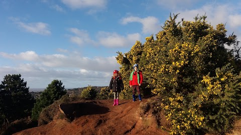 Thor's Stone, Thurstaston