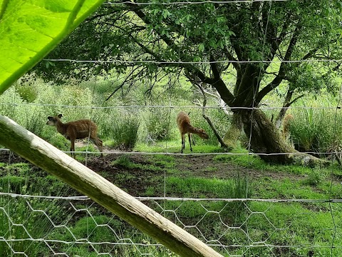 Exmoor Zoological and Conservation Centre