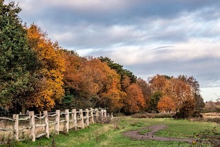 Sutton Park Banners Gate