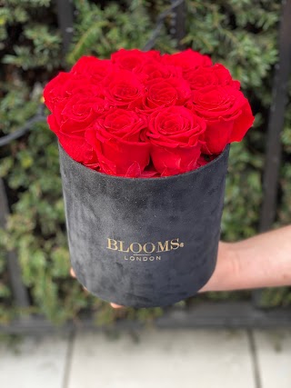 Blooms at London (Bluebird Chelsea)