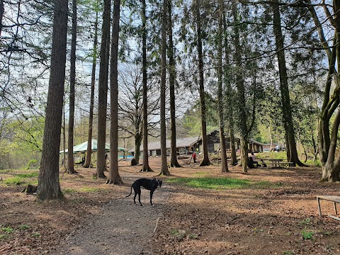 The Glade Tea Rooms