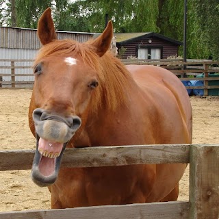 Linford Stables