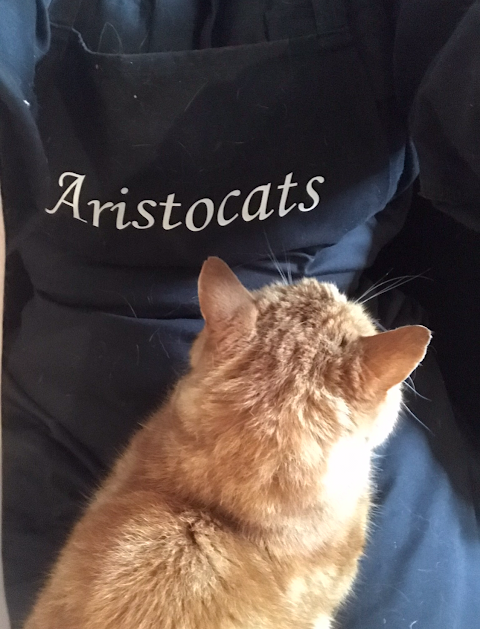 Aristocats Luxury Cattery NORFOLK