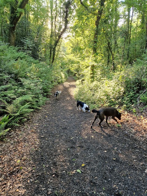 Sirhowy Valley Country Park.