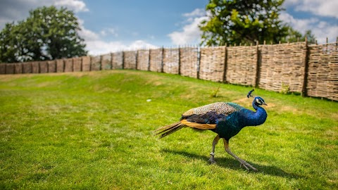 Aldingbourne Country Centre