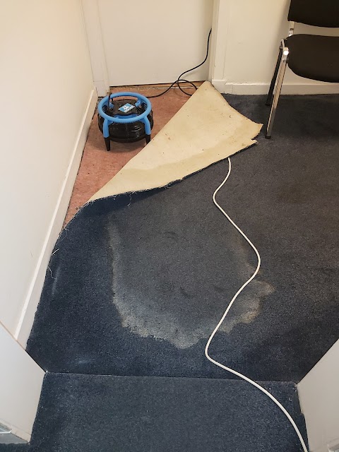 Cleaning Doctor, Carpet & Upholstery Services, Glasgow South & East Renfrewshire