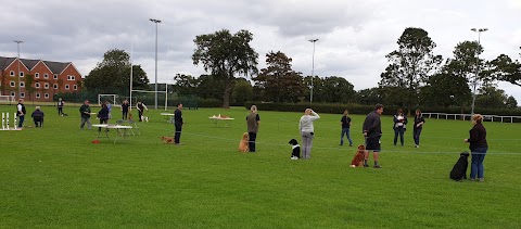 British Institute of Professional Dog Trainers