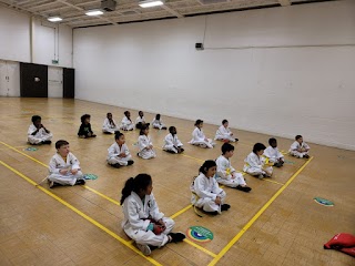hoshin taekwondo