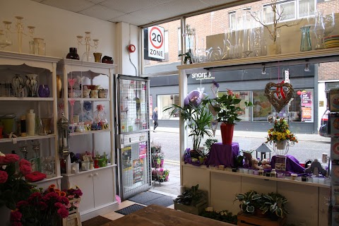 Daisy May Florists