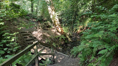 National Trust Lisnabreeny Cregagh Glen