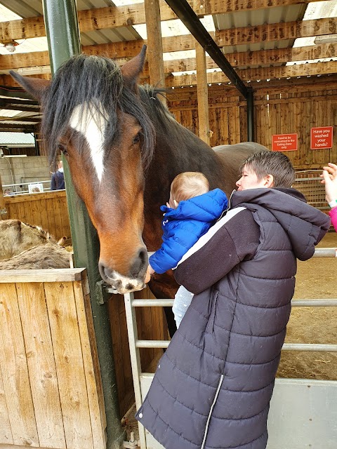 Reddish Vale Farm