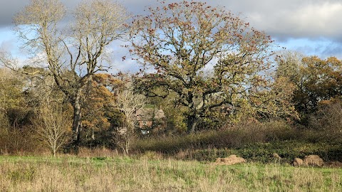 Hampshire Farm Meadows