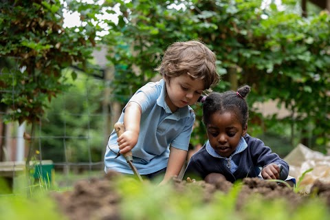 Sherfield School