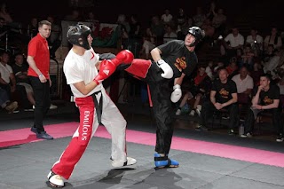 Dragon Freestyle Kickboxing